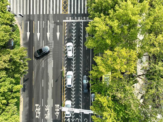 郑州首个多车道“可变车道”落地金水路经二路 看看咋走?