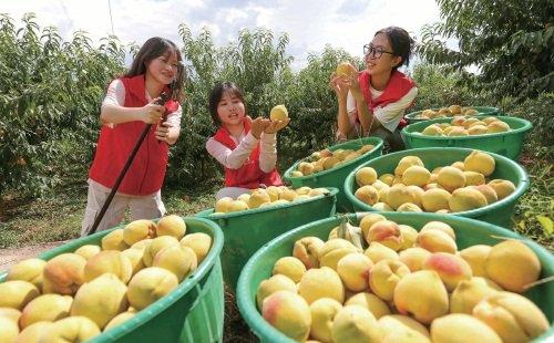 贵州玉屏县：志愿服务到农家