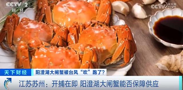 冲上热搜！台风直扑！大闸蟹被“吹”跑了？记者实地探访