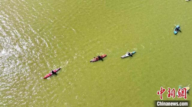 水上马拉松赛在“京津冀最美湿地”河北衡水湖开赛