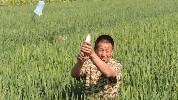 一口稻花鱼，唤醒了整个秋天！