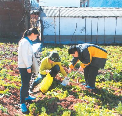 如何帮污染土壤恢复健康？