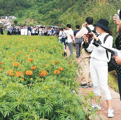 如何帮污染土壤恢复健康？