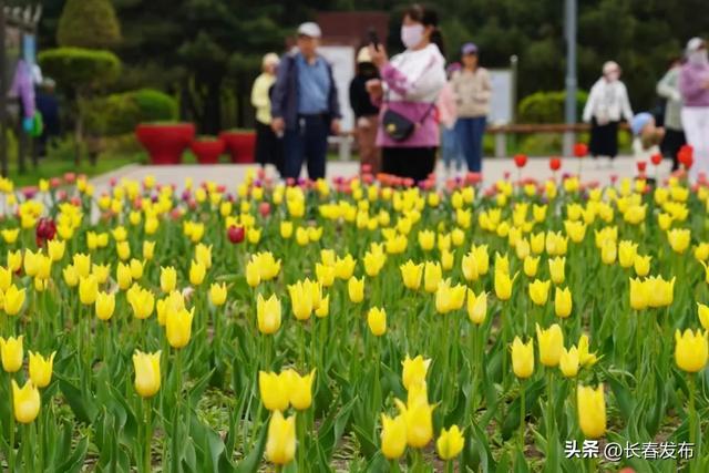 走进长春！120个网红打卡地之长春公园