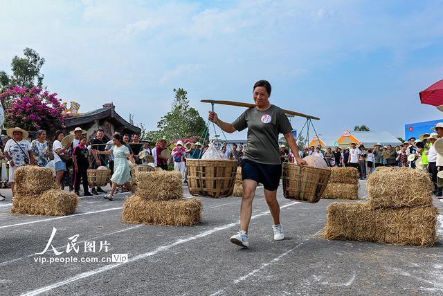 重庆大足：田间地头庆丰收