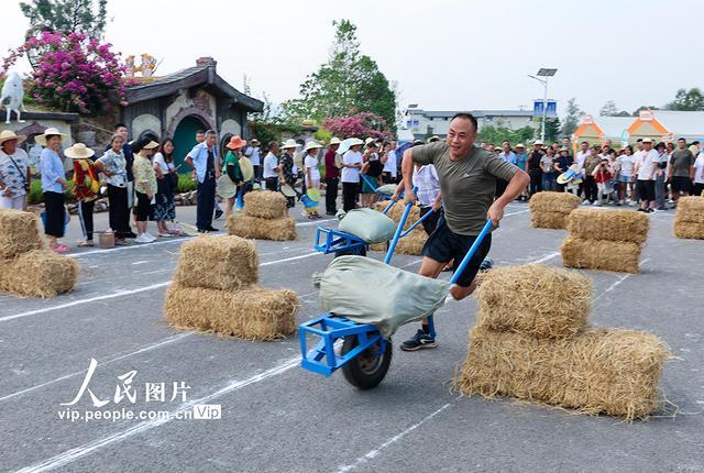 重庆大足：田间地头庆丰收