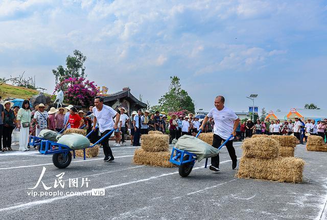 重庆大足：田间地头庆丰收