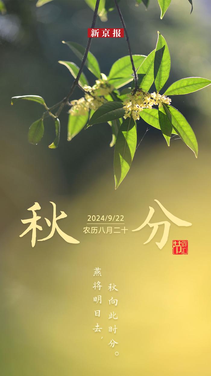 节韵汇丨又是一年好“丰”景 秋分吃什么最养人？