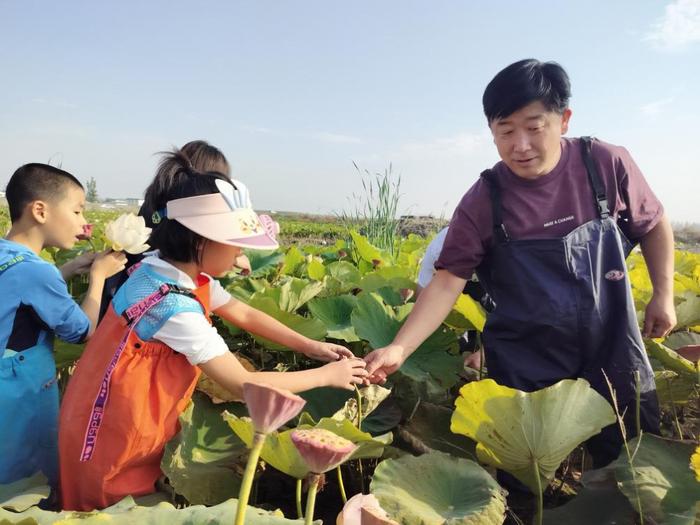 当丰收节与研学“擦”出火花 “藕”遇丰收 乐趣无限