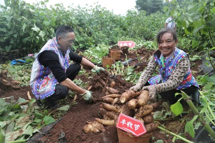 拼多多亮相第七个中国农民丰收节，“多多丰收馆”助力各地农产区丰产增收