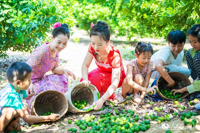 禮贊豐收中國(guó)，讓我們致敬農(nóng)民禮贊豐收！[禮贊豐收中國(guó),致敬辛勤耕耘]繪就鄉(xiāng)村振興新畫(huà)卷(圖15)