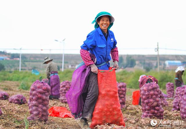 礼赞丰收中国，让我们致敬农民礼赞丰收！[礼赞丰收中国,致敬辛勤耕耘]绘就乡村振兴新画卷(图5)