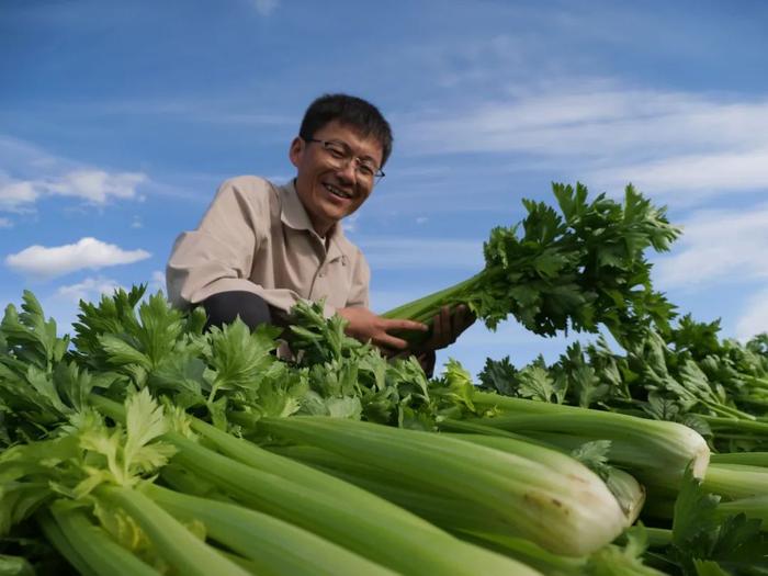 宁夏版的“堂吉诃德”，决定返回乡野