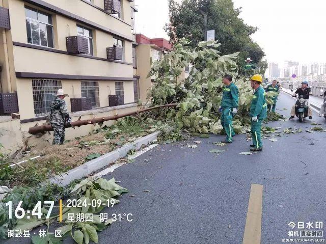 赣问·最新通报！涉及南昌、赣州、宜春、抚州、上饶、景德镇、九江……