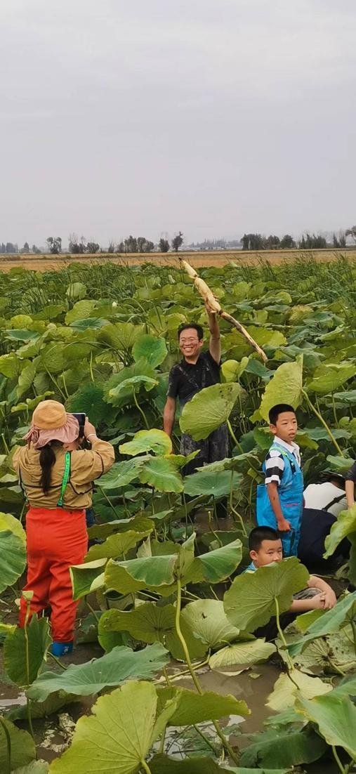 当丰收节与研学“擦”出火花 “藕”遇丰收 乐趣无限