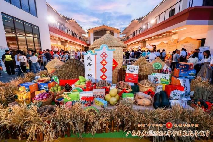 人民日报报道 | 岭南处处丰收景，化州今年“橘更红”