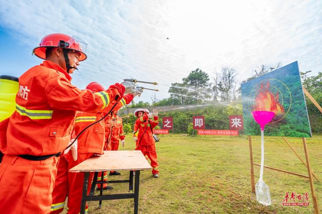 森林防灭火比武：技能与速度的巅峰对决，共筑绿色家园的铜墙铁壁