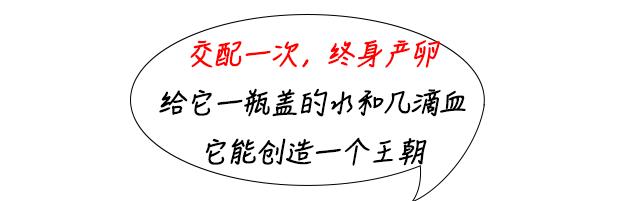 南海疾控最新公布：119个社区有登革热病例！1只蚊感染登革热能传多少人？