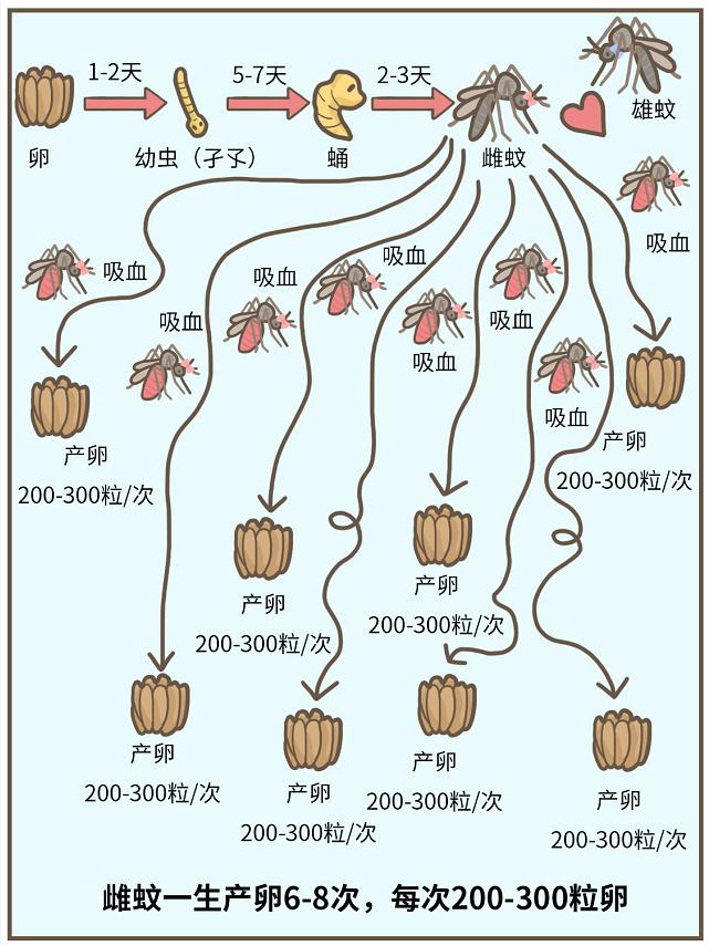 南海疾控最新公布：119个社区有登革热病例！1只蚊感染登革热能传多少人？