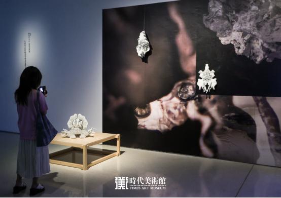 北京时代美术馆《编码物候》展开幕