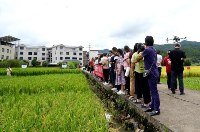 福建永定：培养高素质农业人才 助推现代农业高质量发展