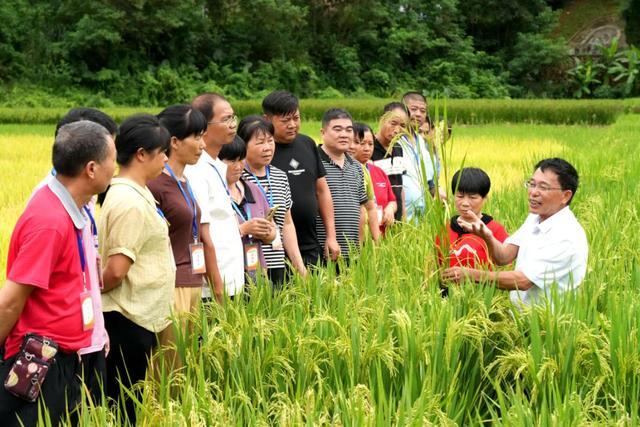 福建永定：培养高素质农业人才 助推现代农业高质量发展