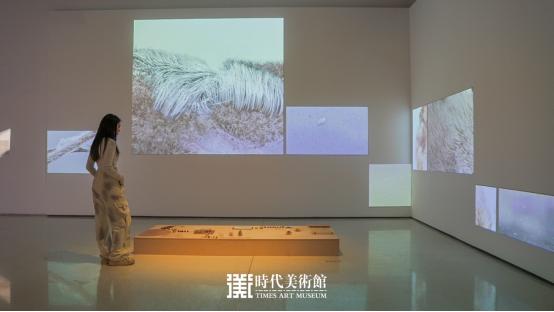 北京时代美术馆《编码物候》展开幕