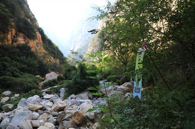 点名玉皇沟、九龙潭！“野生景区”危险多，打卡嵩山别犯险