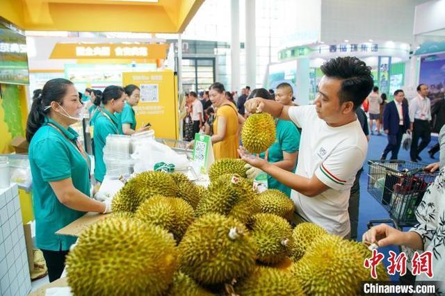 第21届中国—东盟博览会迎公众开放日