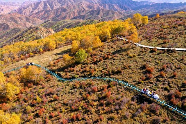 飞阅内蒙古 | 固阳马鞍山6000多亩原始次生林五彩斑斓