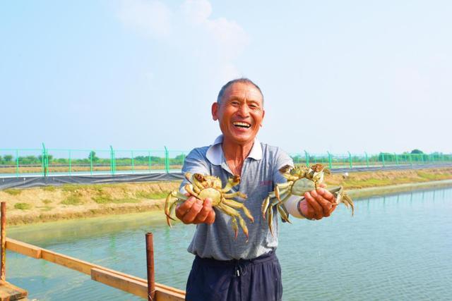 南京市溧水区晶桥镇水晶村：万亩螃蟹迎丰收