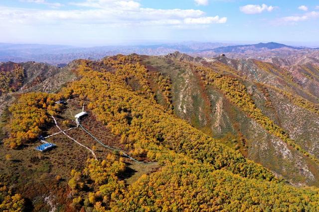 飞阅内蒙古 | 固阳马鞍山6000多亩原始次生林五彩斑斓