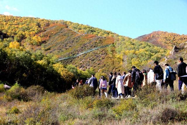 飞阅内蒙古 | 固阳马鞍山6000多亩原始次生林五彩斑斓