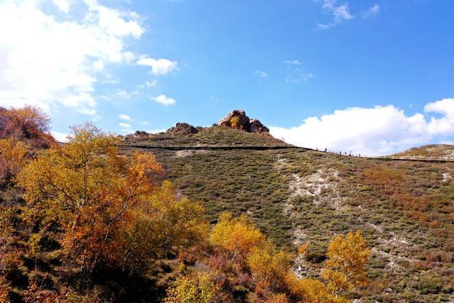 飞阅内蒙古 | 固阳马鞍山6000多亩原始次生林五彩斑斓