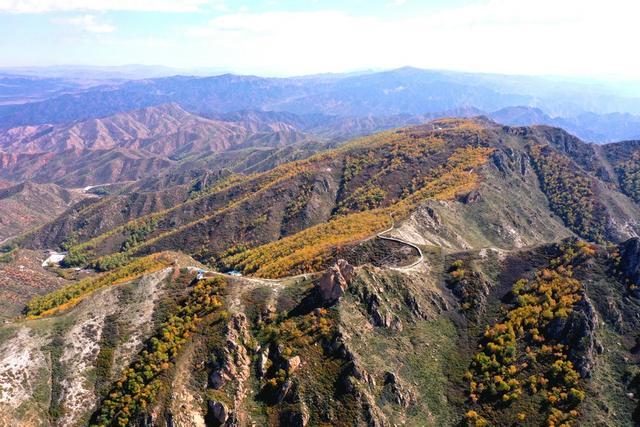 飞阅内蒙古 | 固阳马鞍山6000多亩原始次生林五彩斑斓