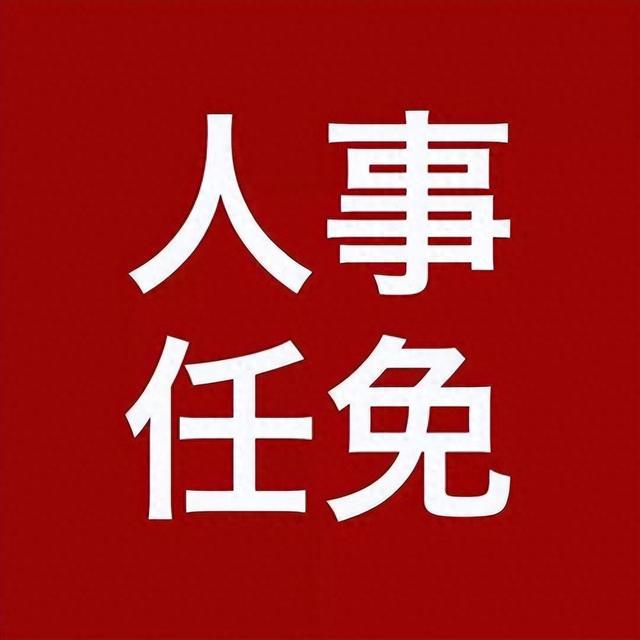 2024年澳门资料全年冤费,陕西省人大常委会表决通过一批任免职人员名单