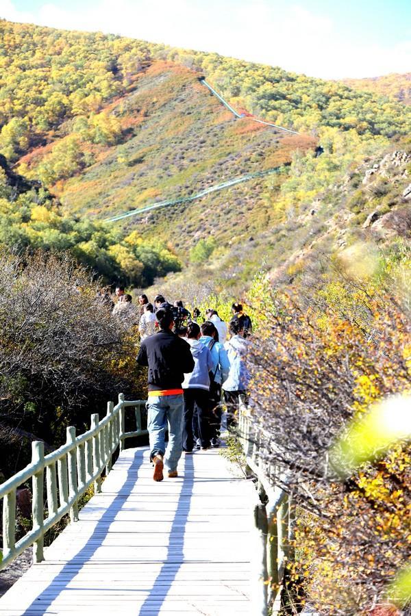 飞阅内蒙古 | 固阳马鞍山6000多亩原始次生林五彩斑斓