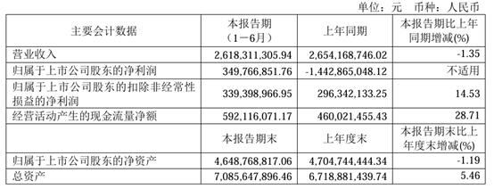 转型期的中炬高新：上半年业绩承压，正逐步剥离非主营业务