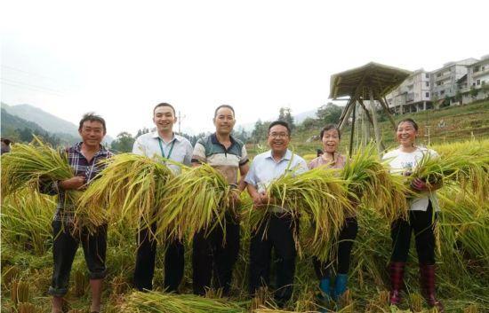 “全国民族团结进步模范个人”杨聪：激活偏僻小山村旅游活力的引路人