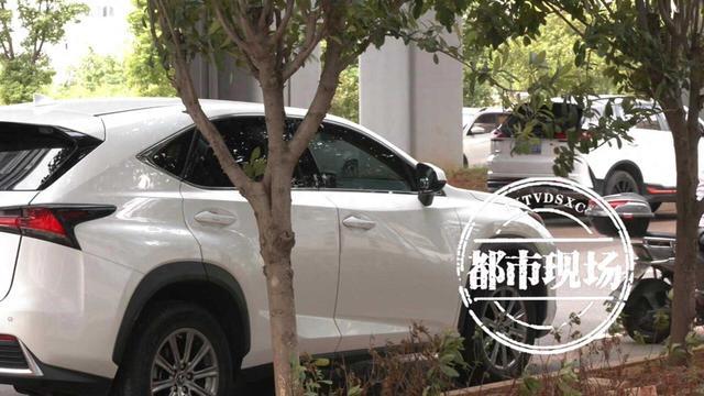 33万买全新雷克萨斯SUV 3年后她发现右后车门存在二次喷漆？