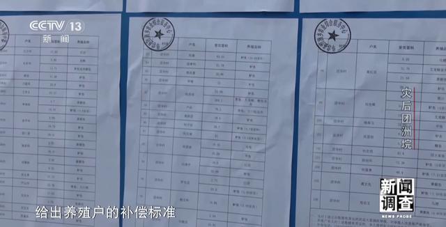 新闻调查丨从受灾到重建 湖南团洲垸复工复产情况如何？