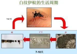 不接触也能传播！江西疾控紧急提醒