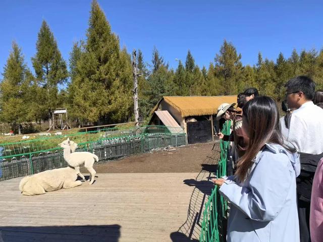 来吉林旅游，长白山下这座宝藏小镇不能错过