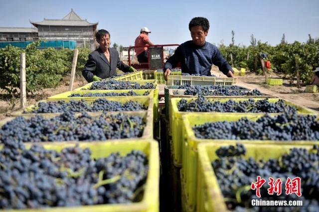 点亮新中国的地标丨电视剧《山海情》的拍摄地，还有一个别称是……