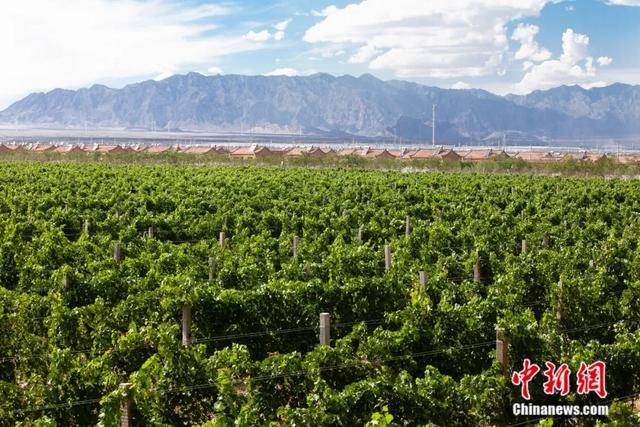 点亮新中国的地标丨电视剧《山海情》的拍摄地，还有一个别称是……