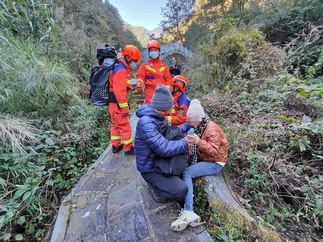 老年采药团上山采“物资”却被山顶“截胡”？