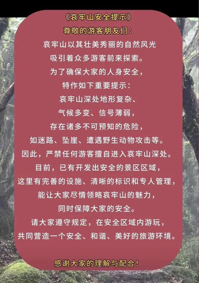 紧急提醒！突然爆火的哀牢山，曾有专业人员在此遇难……