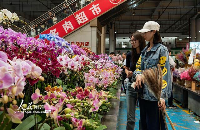 云南昆明：斗南花卉市场人头攒动