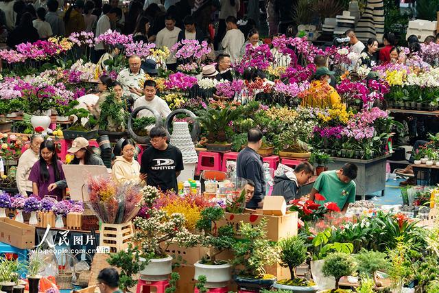 云南昆明：斗南花卉市场人头攒动