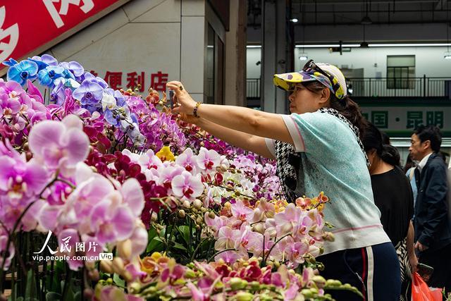 云南昆明：斗南花卉市场人头攒动